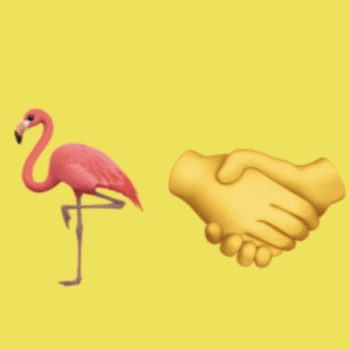 Flamingo Handshake Collection